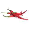 Семена Люто Чили Кайен VERITABLE Lingot® Cayenne hot chili thumbnail