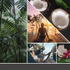 Ароматна свещ в голям буркан Yankee Candle Signature Black Coconut thumbnail