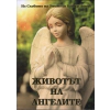 Животът на ангелите (Из Словото на Учителя Петър Дънов) thumbnail
