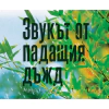 Звукът от падащия дъжд thumbnail