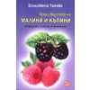 Производство на малини и къпини thumbnail