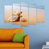 Декоративeн панел за стена с илюстрация на раковини Vivid Home thumbnail