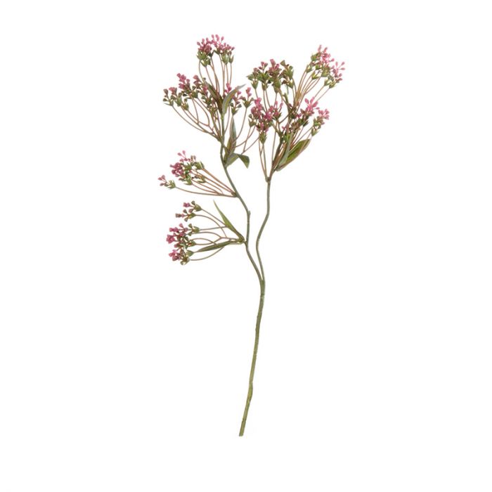 Декоративно растение ASA Selection 43 см