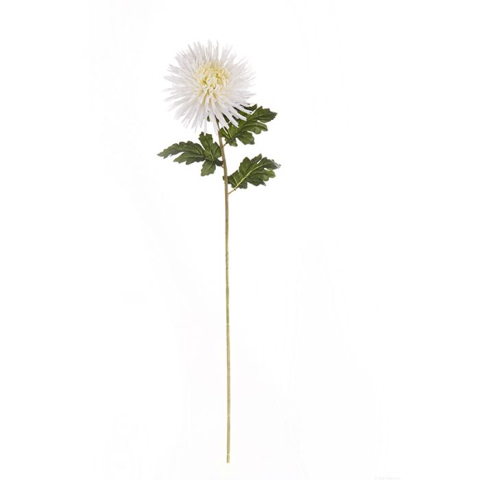 Декоративно растение ASA Selection 'хризантема' 90 см