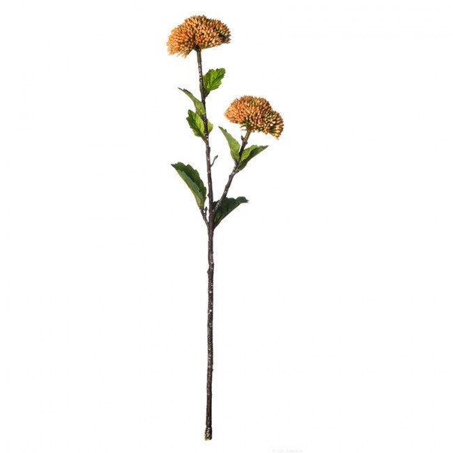 Декоративно растение ASA Selection, 44 см