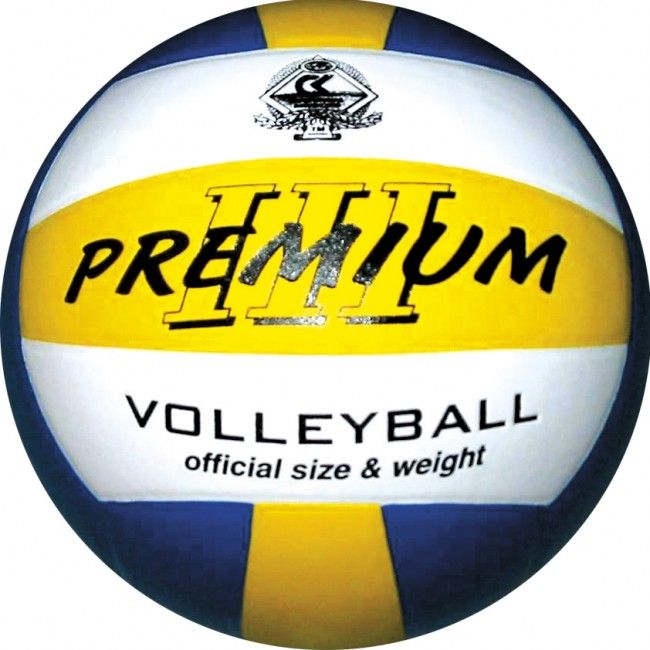 Волейболна топка Spartan indoor Premium III
