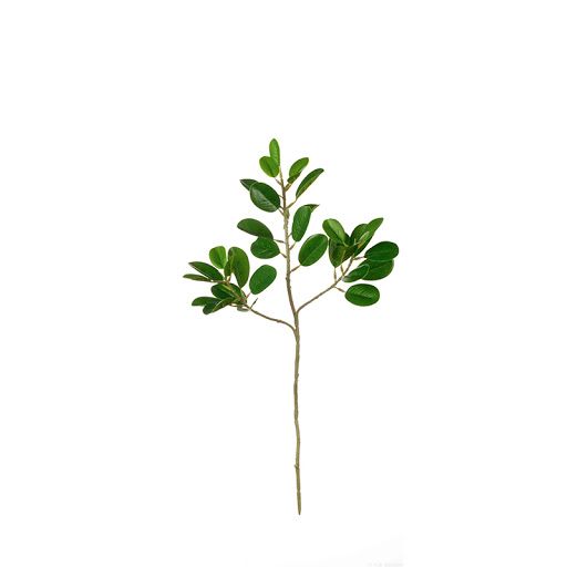 Декоративно растение Фикус ASA Selection, 48 см