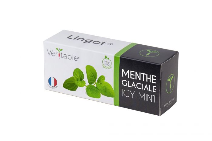 Семена 'Ледена Мента' VERITABLE Lingot® Icy Mint Organic