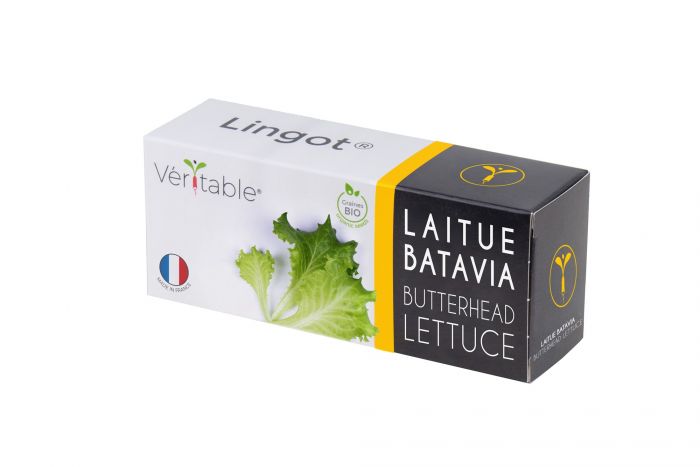 Семена Маруля VERITABLE Lingot® Butterhead Lettuce Organic