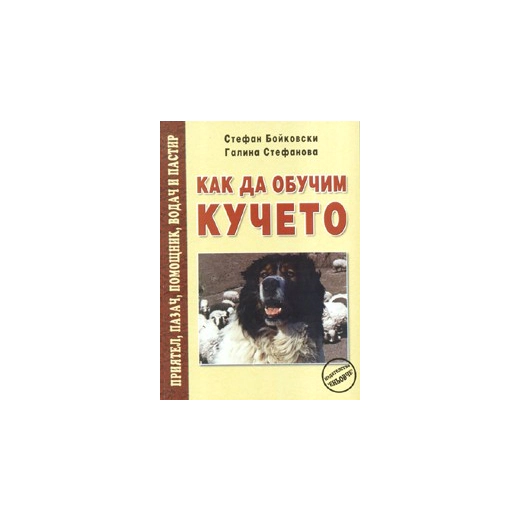 Как да обучим кучето