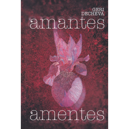 Amentes Amentes