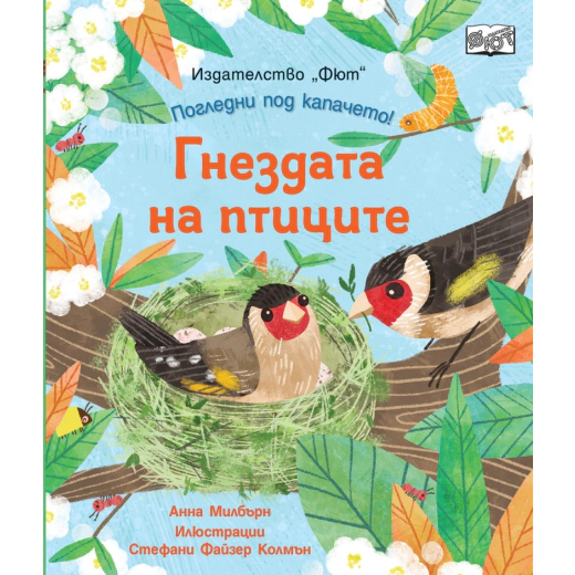 Гнездата на птиците. Погледни под капачето!