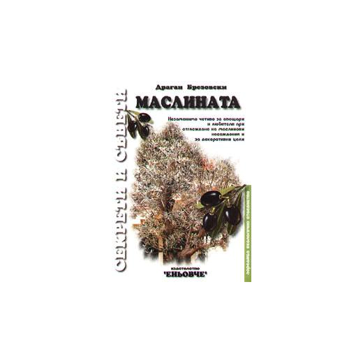 Маслината