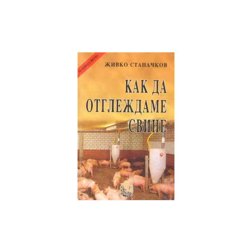 Как да отглеждаме свине