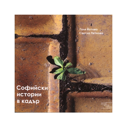Софийски истории в кадър