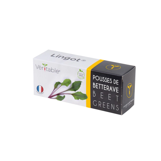 Семена Листа цвекло VERITABLE Lingot® Beet Greens Organic